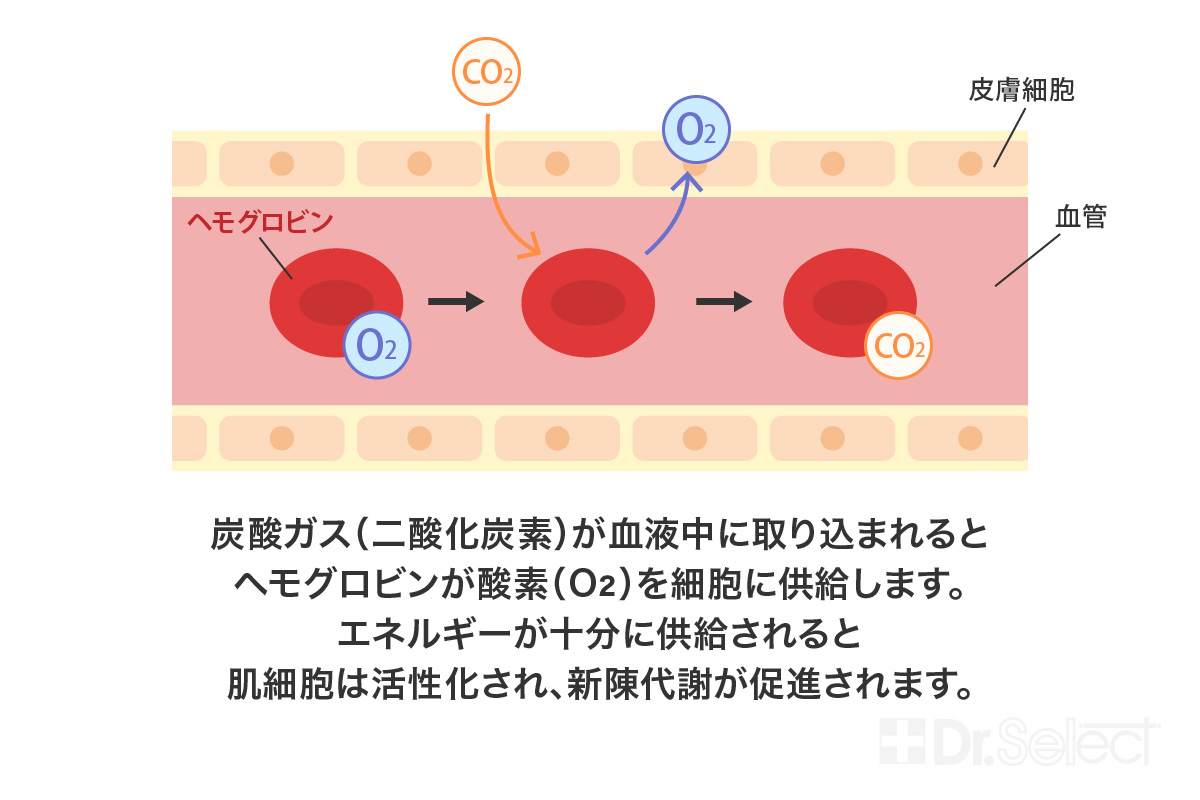 肌の血行促進効果