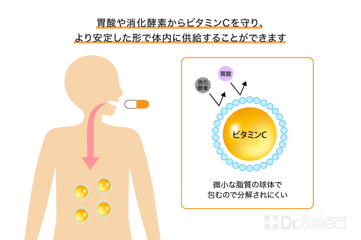 リポソーム化の意味とその効果