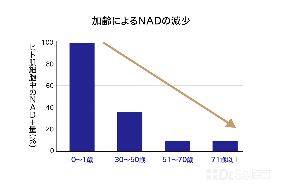 加齢によるNADの減少について説明した図