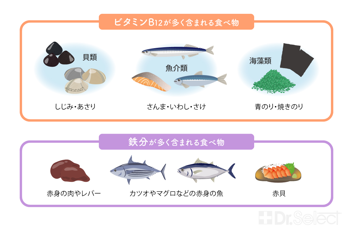 ビタミンB12が多く含まれる食べ物と鉄分が多く含まれる食べ物