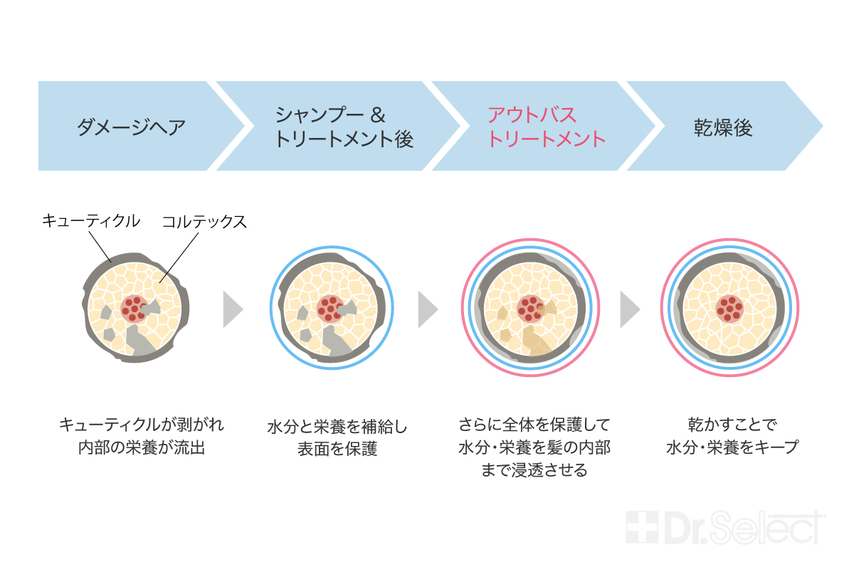 髪全体のケアの流れについて