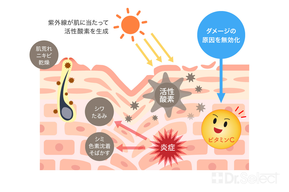 ビタミンCが叶える美肌効果